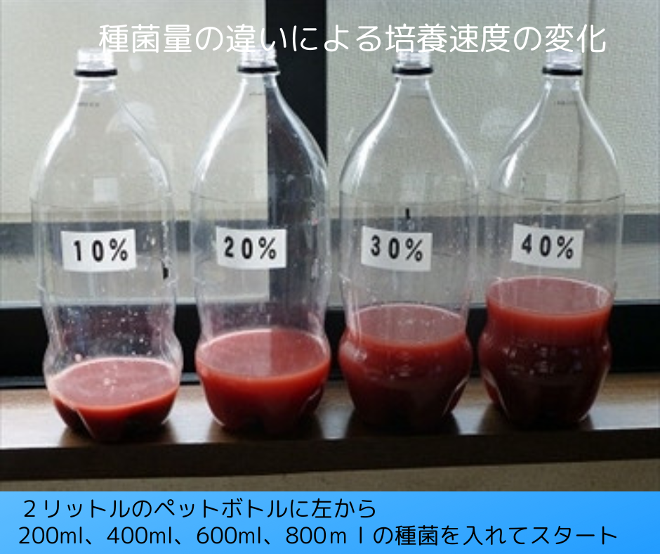 光合成細菌を増やしてみましょう | 水槽よもやま話 | アクアリウムの 光合成細菌を増やしてみましょう | 水槽よもやま話 | アクアリウムの