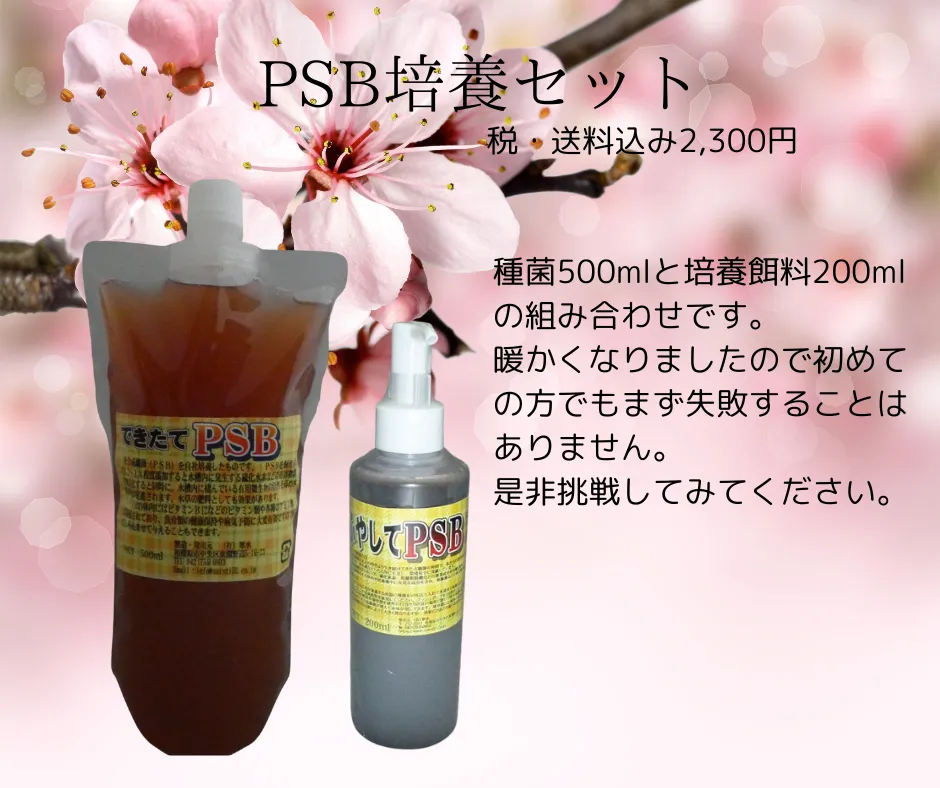 ＰＳＢ培養セット