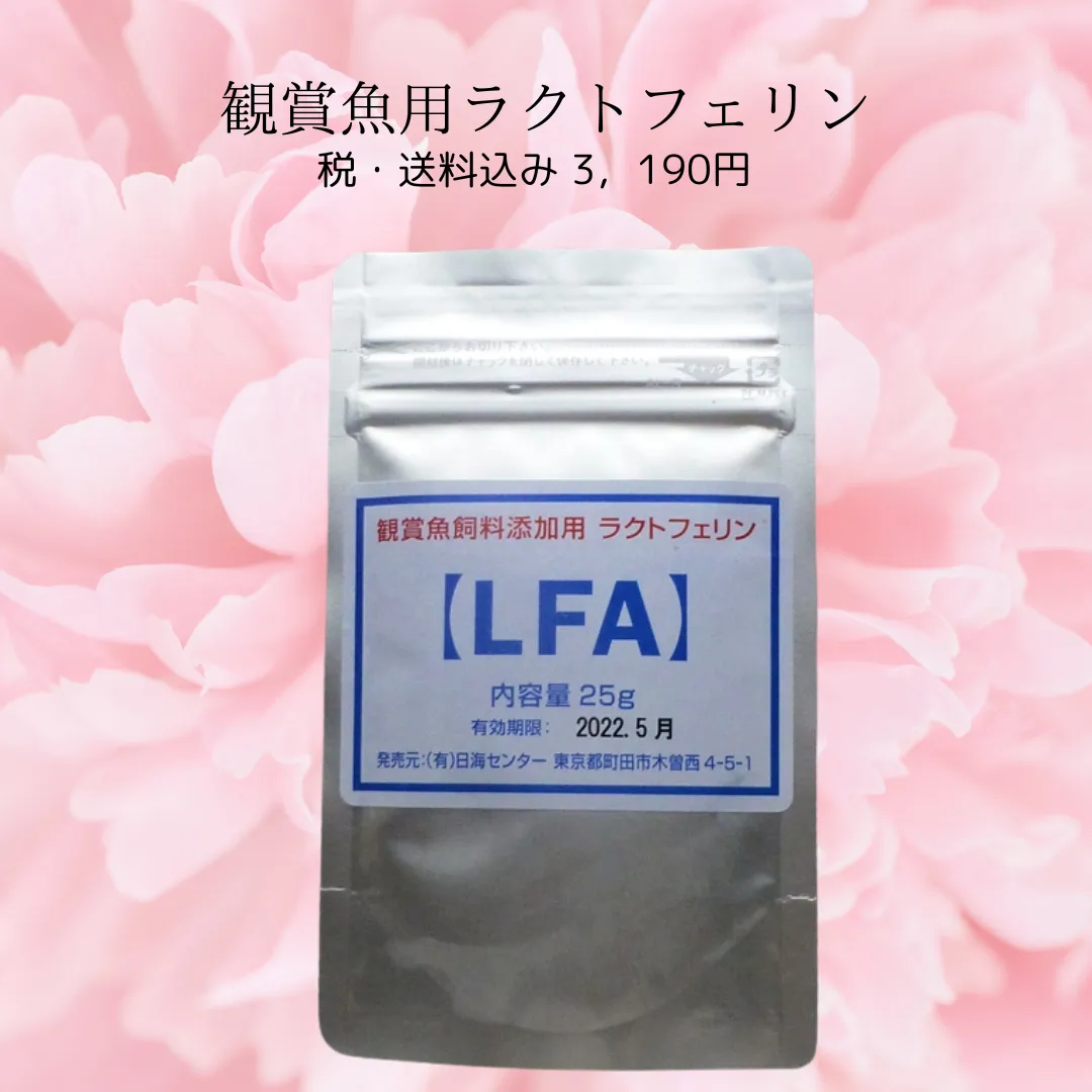 観賞魚用ﾗｸﾄﾌｪﾘﾝ